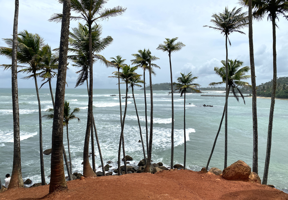 Visiter Mirissa et la fameuse Coconut Tree Hill