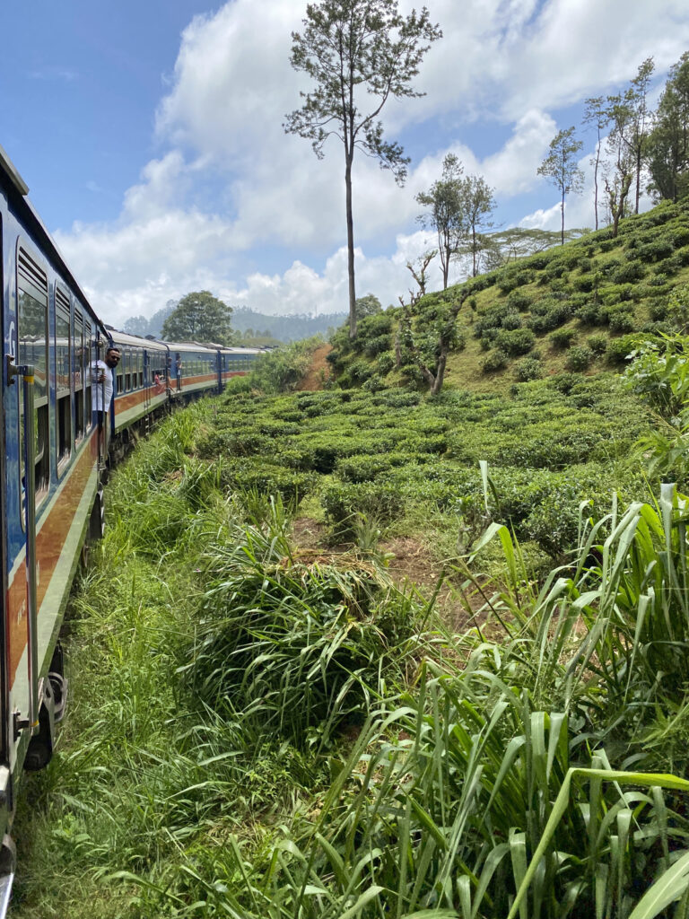 la nature vue depuis le train du sri lanka