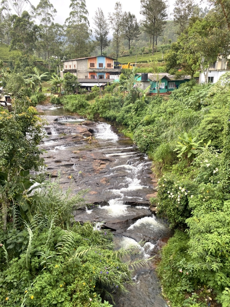 rivière vue depuis le train du sri lanka