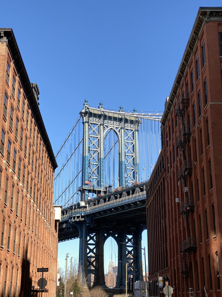 new york dumbo vue