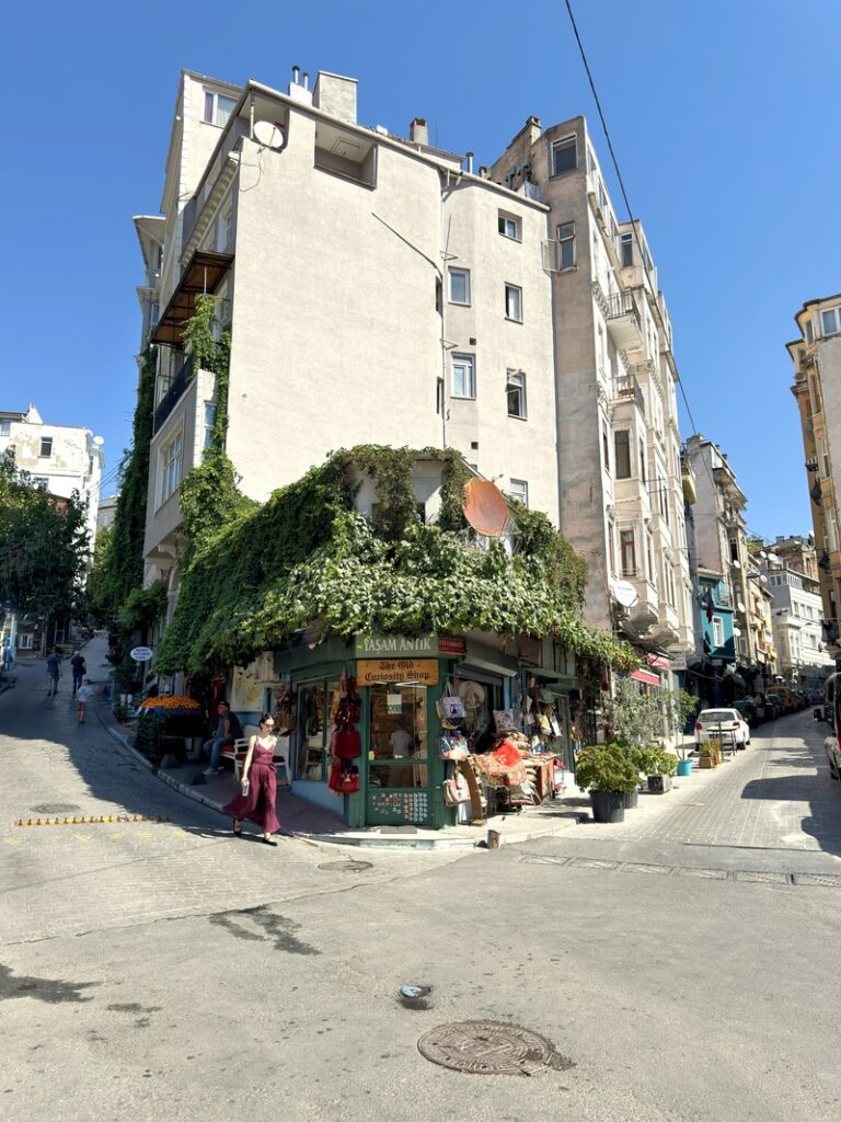 istanbul antiquaire rue