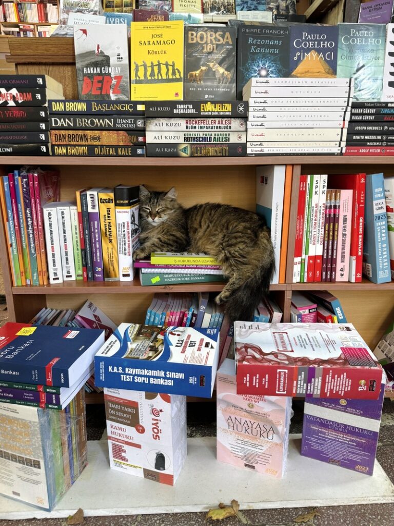 istanbul bazar livres chat