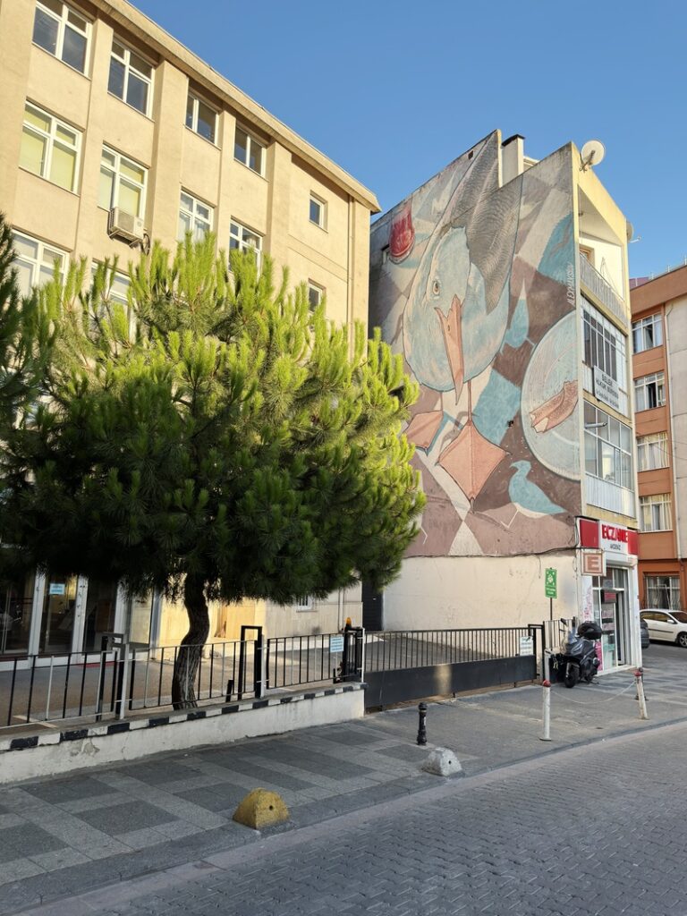 istanbul kadikoy fresque mouette