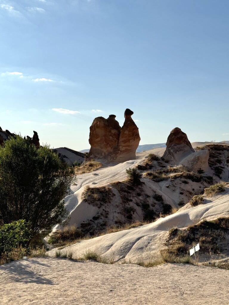 cappadoce chameau imagination valley