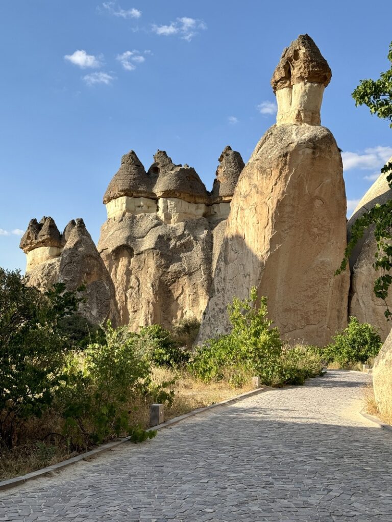 cappadoce cheminee de fee dans pasabag valley