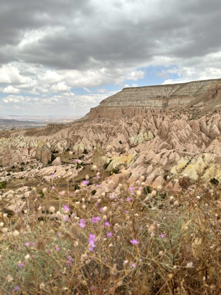 cappadoce detail devant la rose valley