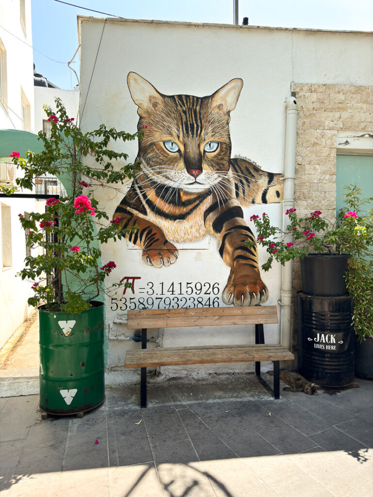 Fresque chat Bodrum Turquie