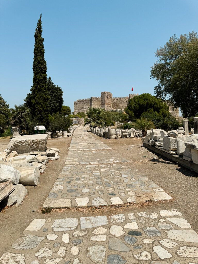 vue forteresse d'Ayasoluk Selçuk