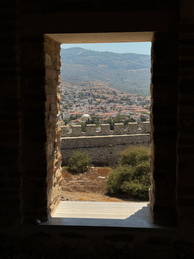 vue ville de Selçuk