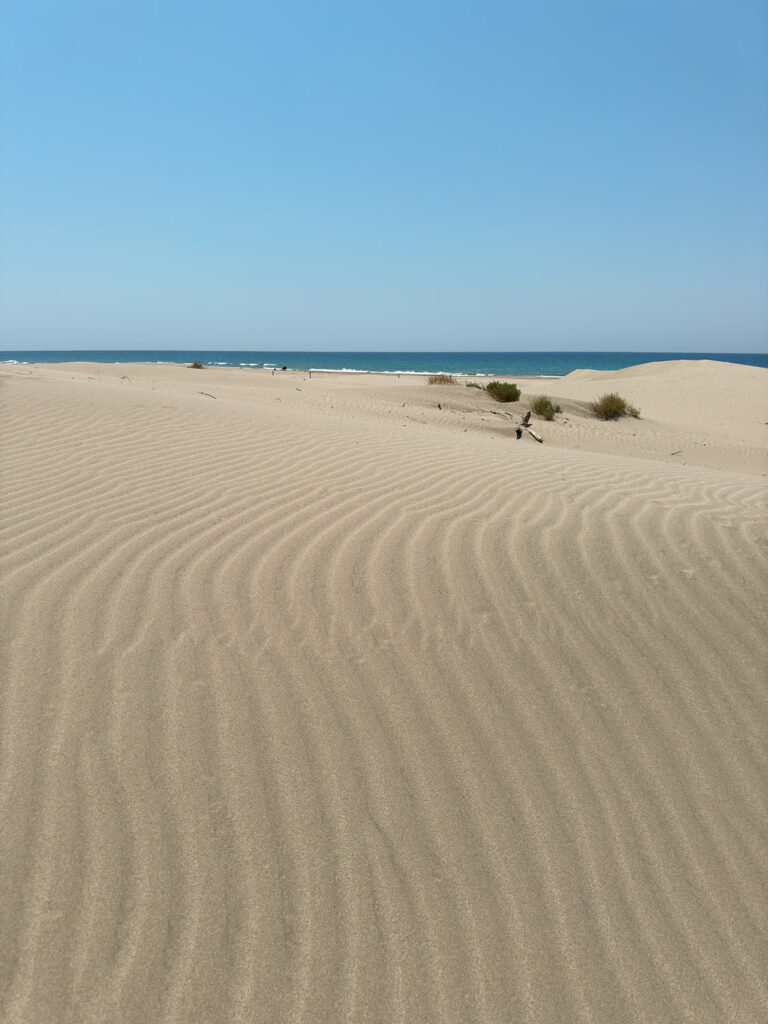 Plage de Patara dunes